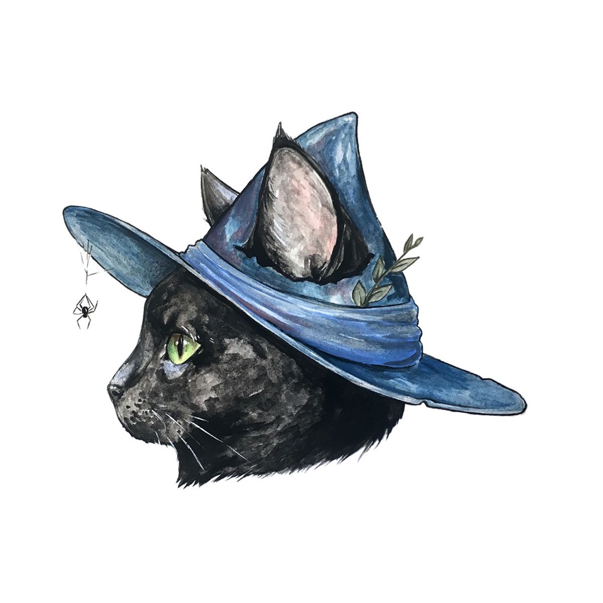 Black cat wearing a blue witch hat with a spider on a white background
