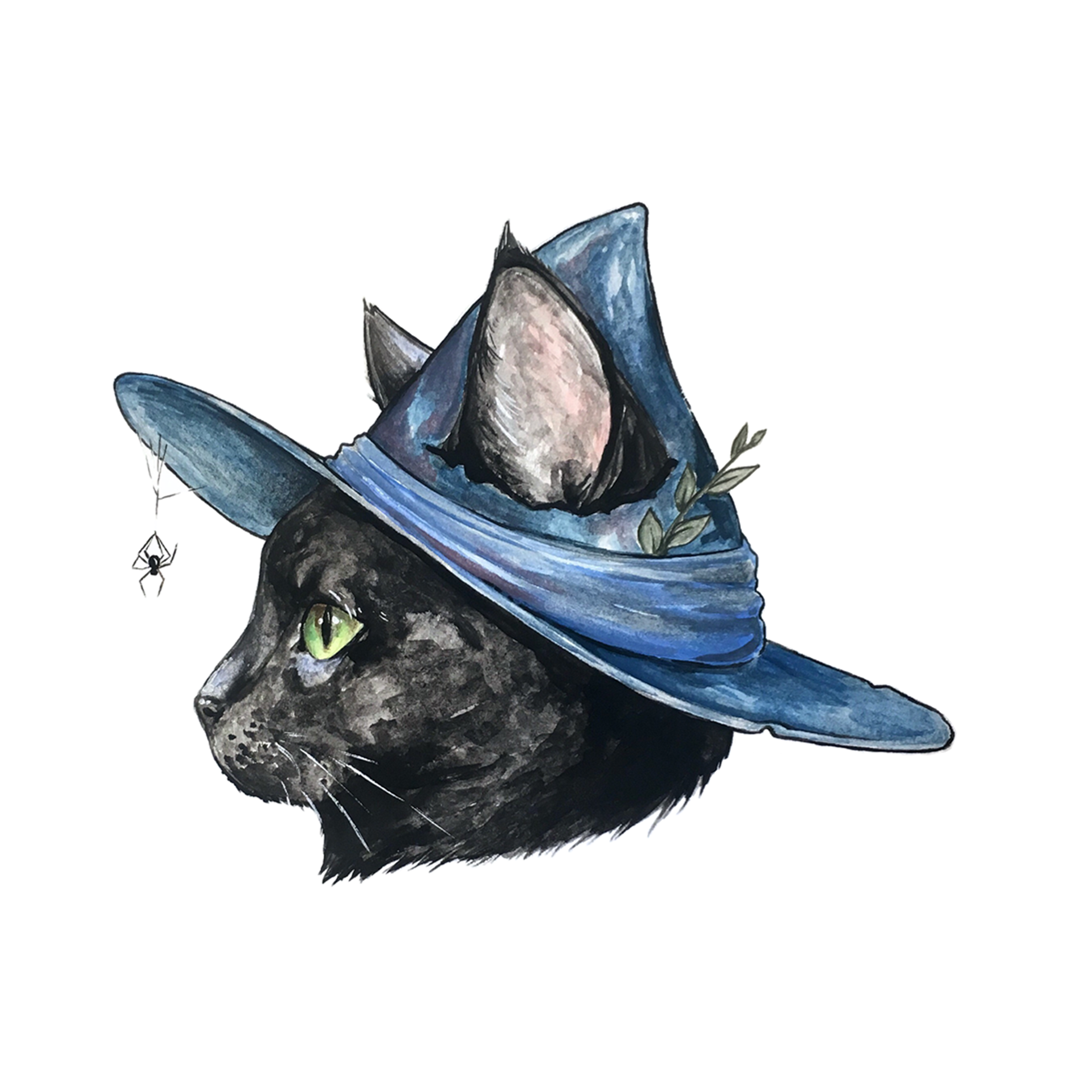 Black cat wearing a blue witch hat with a spider on a white background