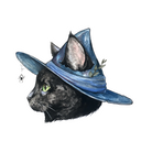 Black cat wearing a blue witch hat with a spider on a white background